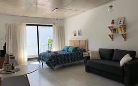 Nuevo Loft En Palermo Hollywood